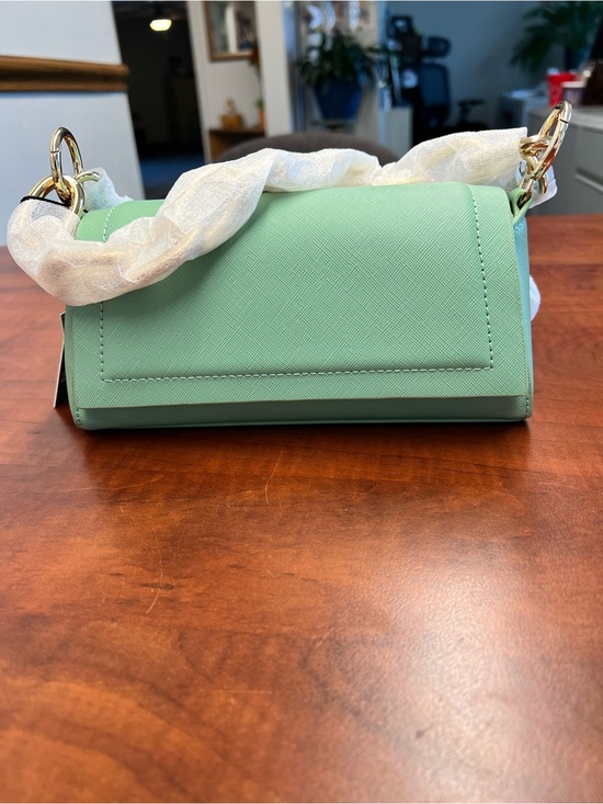 House Of Want Handbags - Mint Green vegan leather crossbody bag with Gold Hardware and chain. NWT